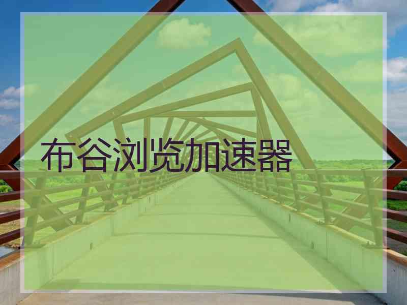 布谷浏览加速器