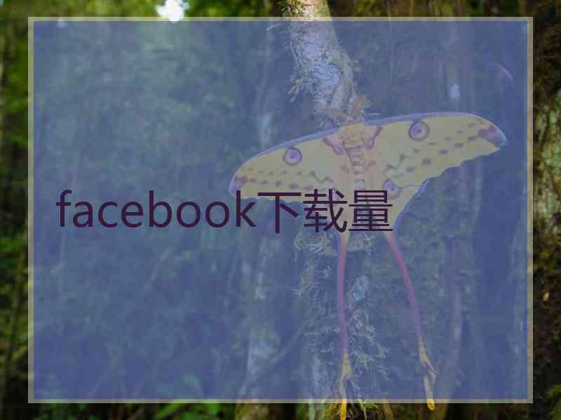 facebook下载量