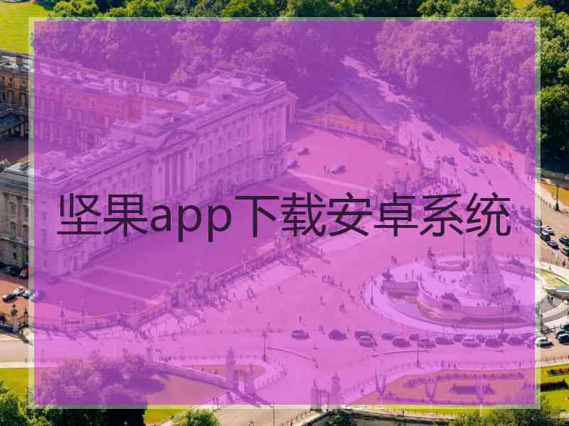 坚果app下载安卓系统