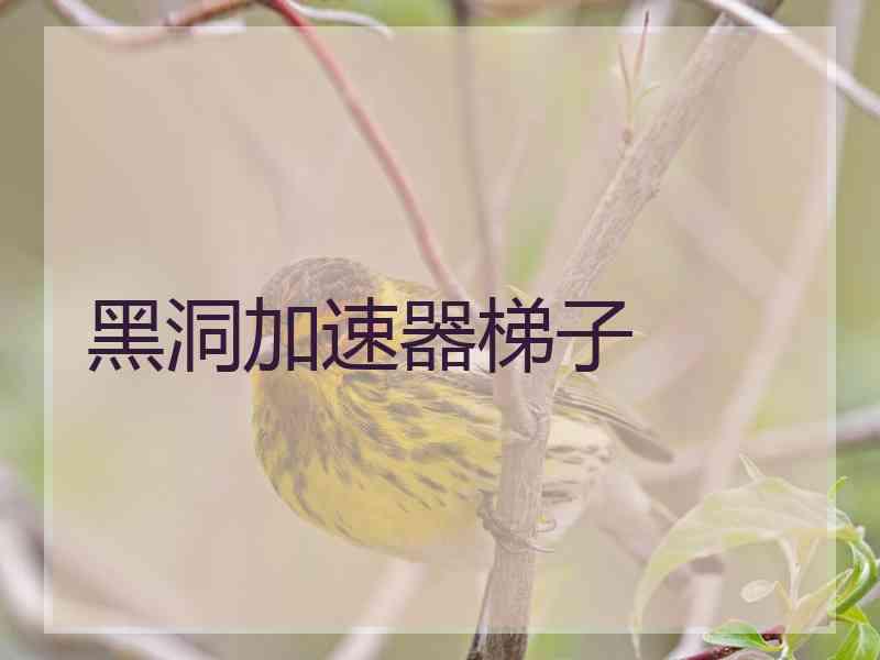 黑洞加速器梯子