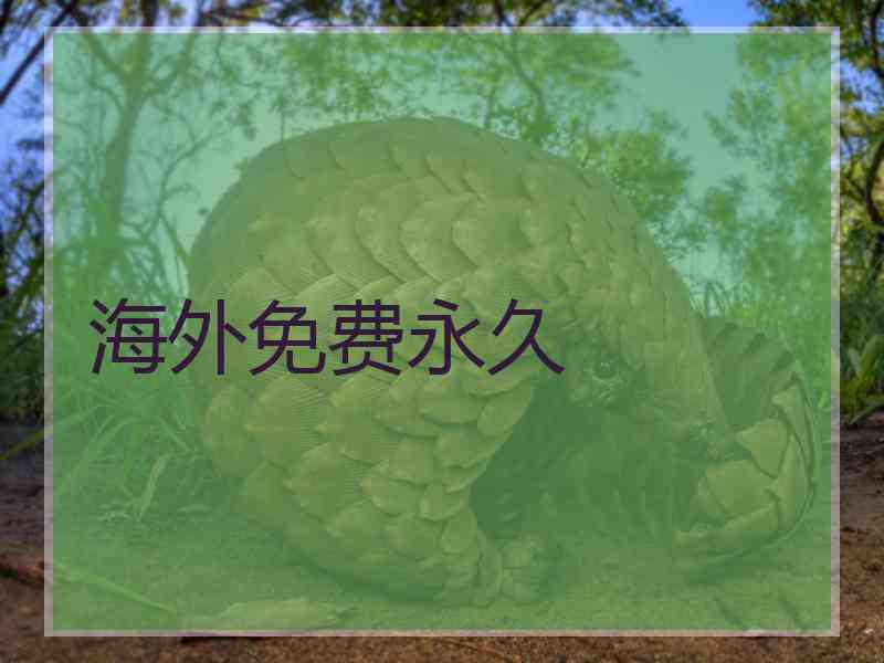 海外免费永久