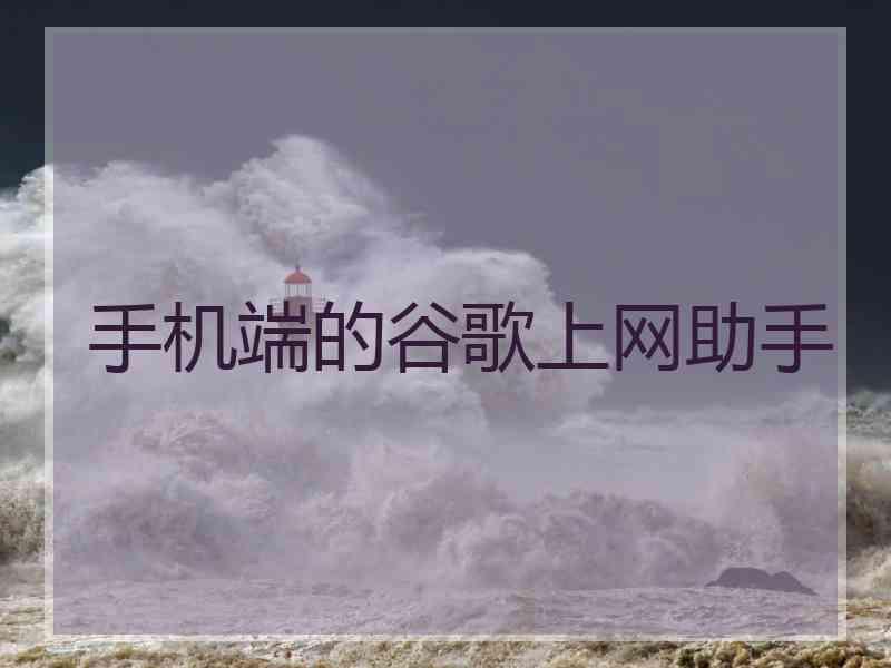 手机端的谷歌上网助手
