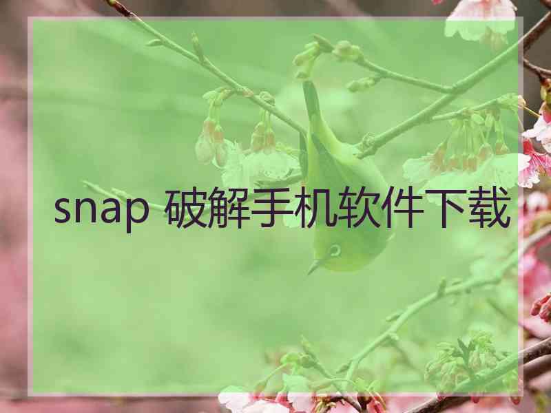 snap 破解手机软件下载