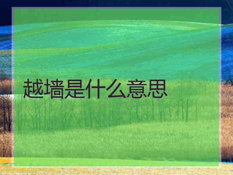 越墙是什么意思