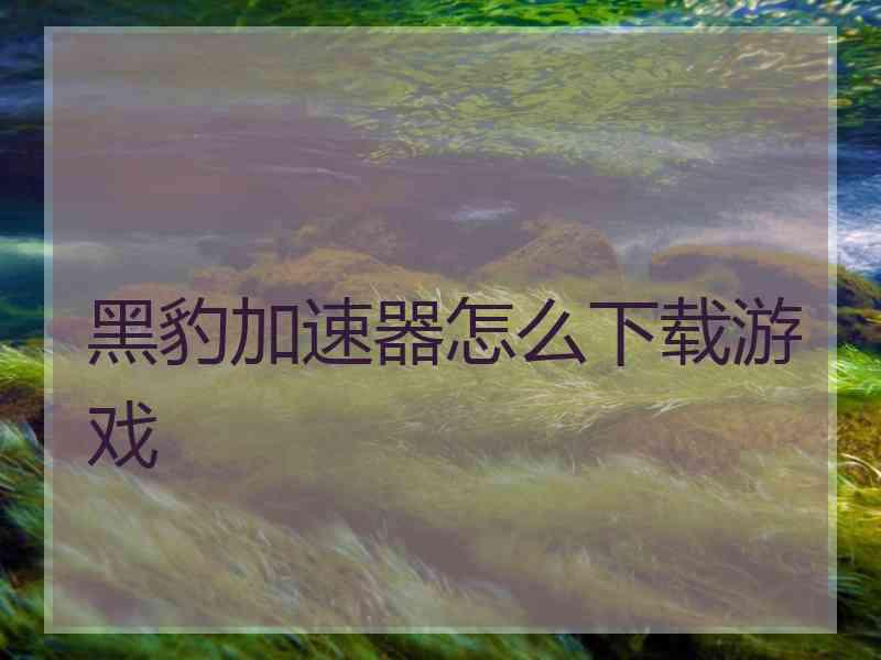 黑豹加速器怎么下载游戏