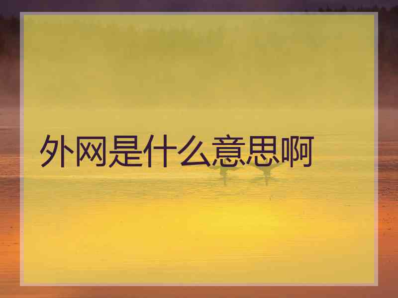 外网是什么意思啊