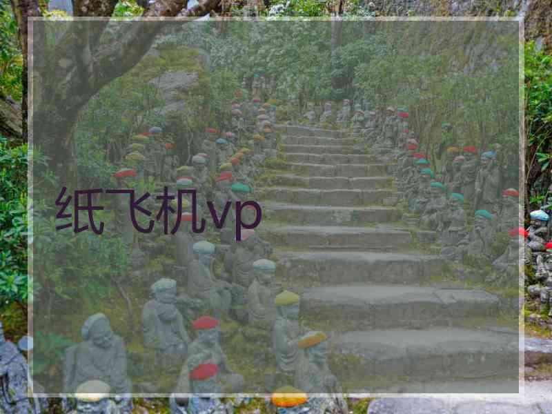 纸飞机vp