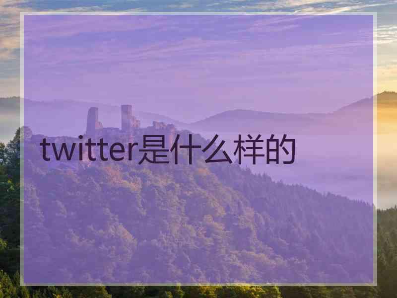 twitter是什么样的