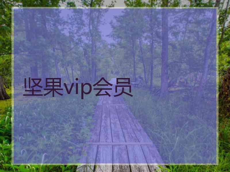 坚果vip会员