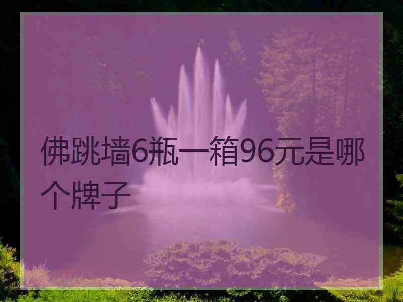 佛跳墙6瓶一箱96元是哪个牌子