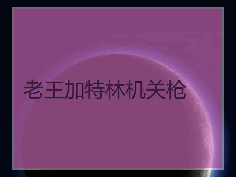 老王加特林机关枪
