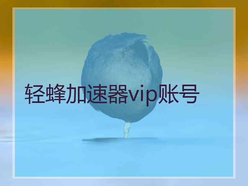 轻蜂加速器vip账号