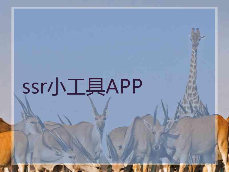 ssr小工具APP