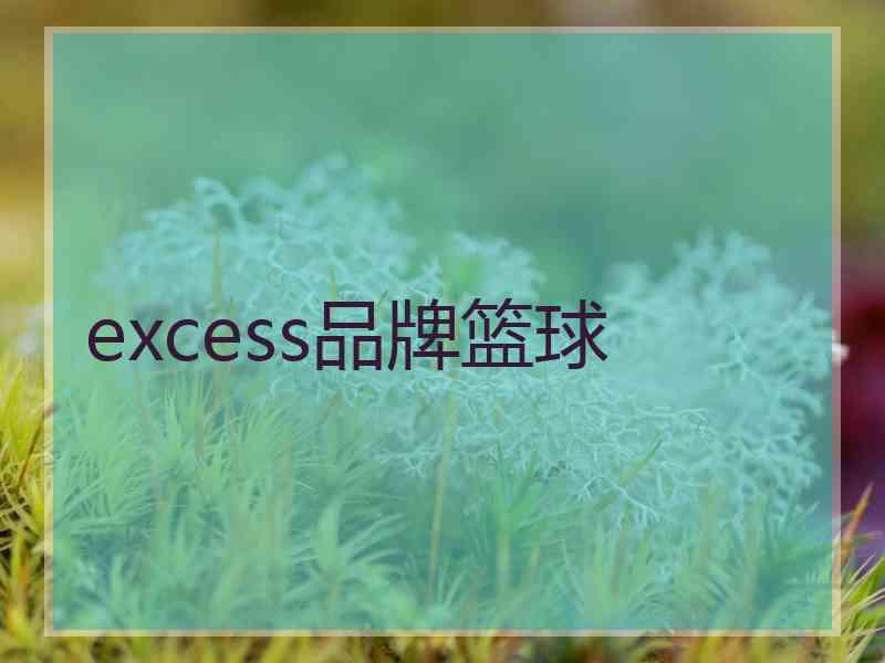 excess品牌篮球