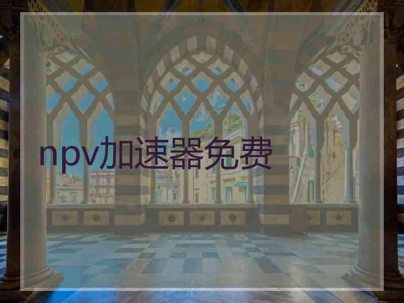 npv加速器免费