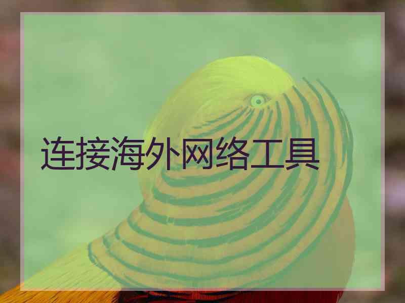 连接海外网络工具
