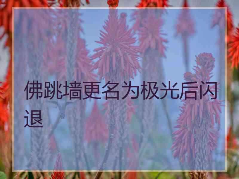 佛跳墙更名为极光后闪退