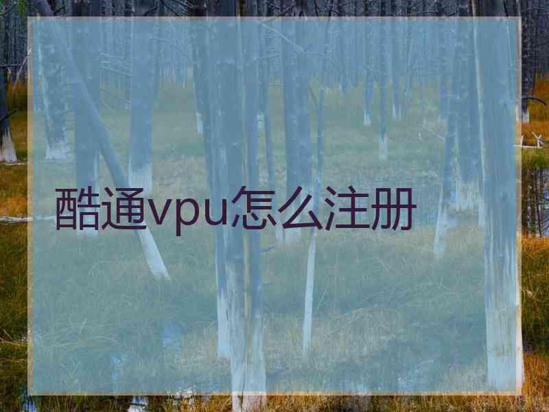 酷通vpu怎么注册