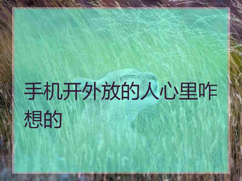 手机开外放的人心里咋想的