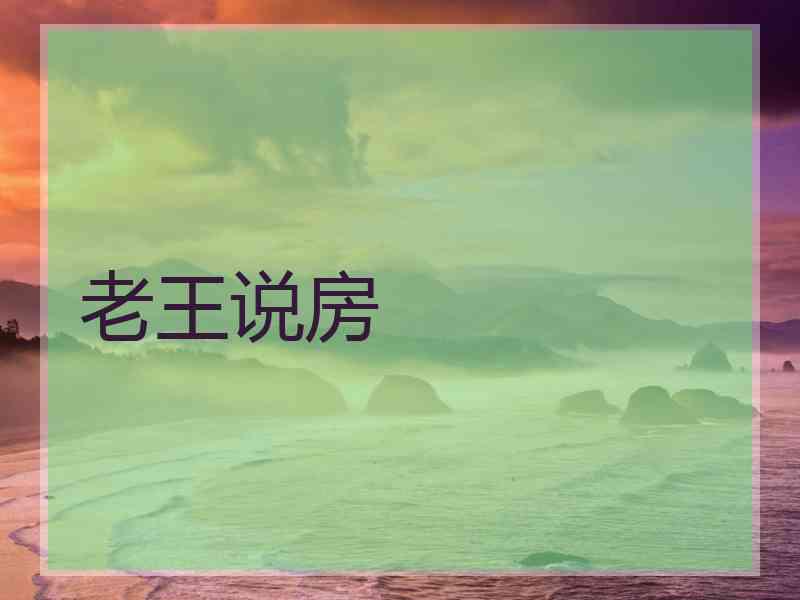 老王说房