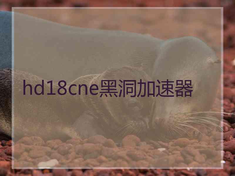 hd18cne黑洞加速器
