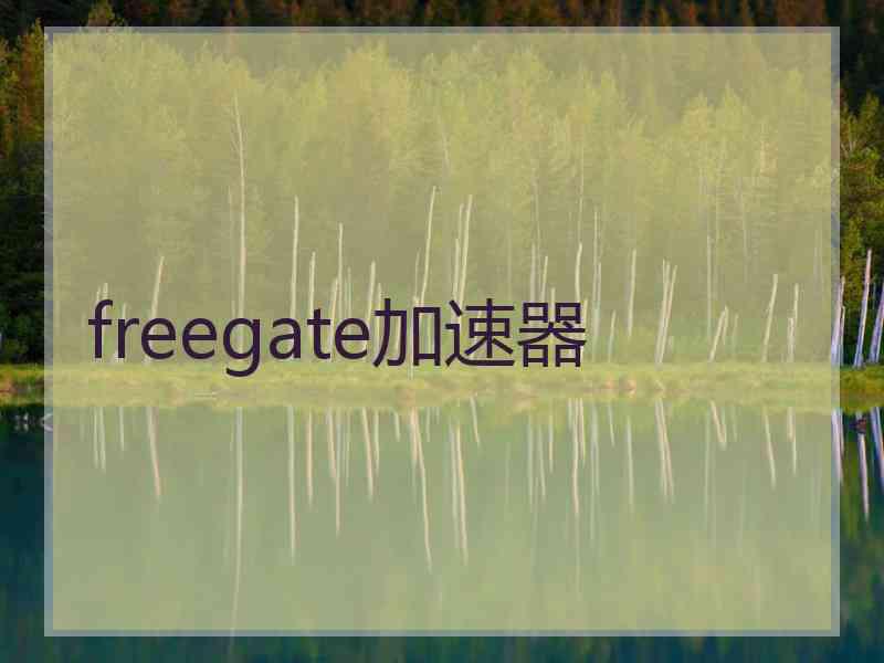 freegate加速器