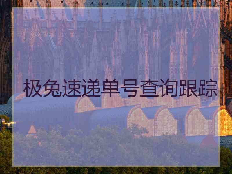 极兔速递单号查询跟踪