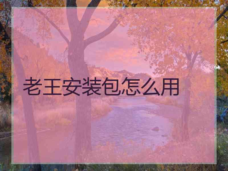 老王安装包怎么用
