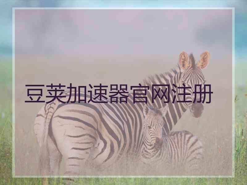 豆荚加速器官网注册