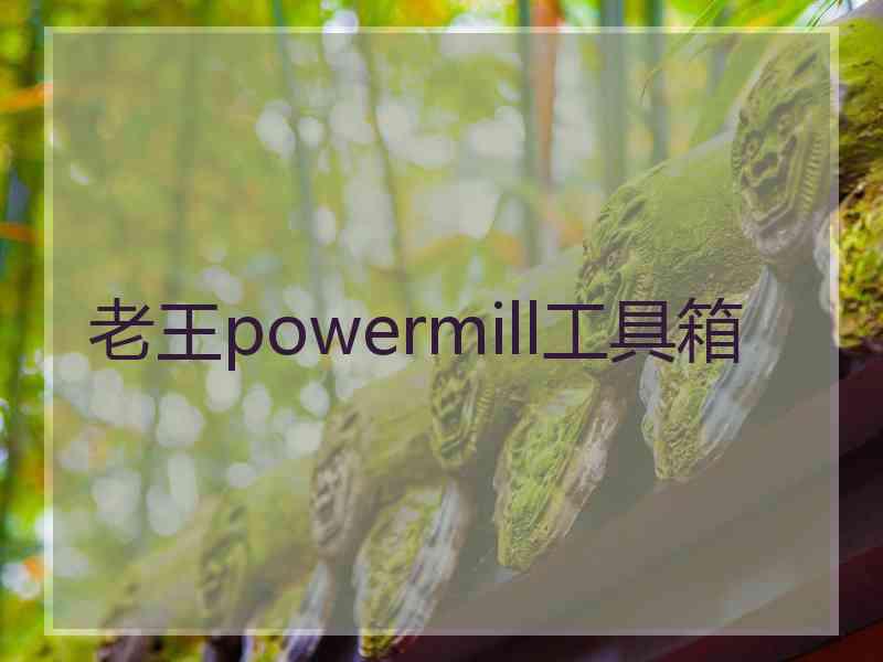老王powermill工具箱