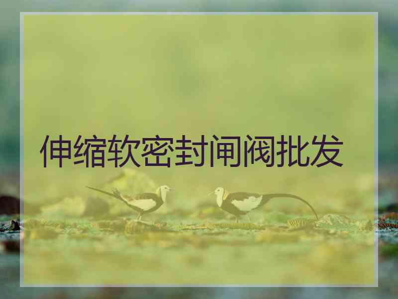 伸缩软密封闸阀批发