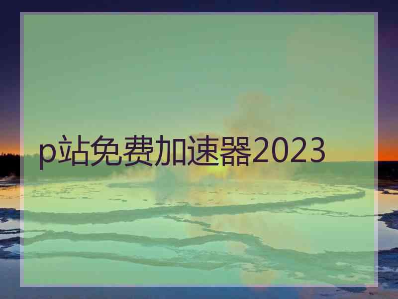 p站免费加速器2023