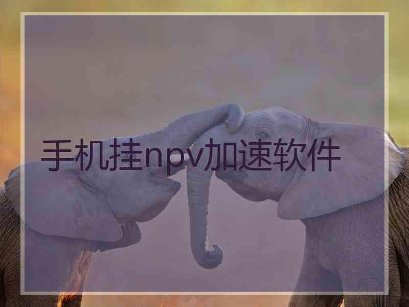 手机挂npv加速软件