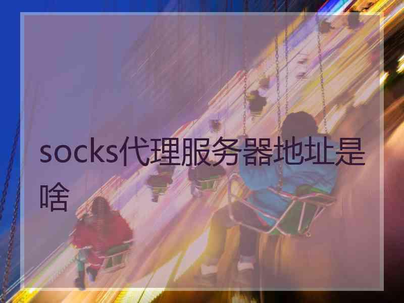 socks代理服务器地址是啥