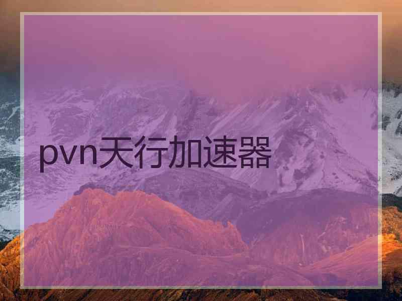 pvn天行加速器