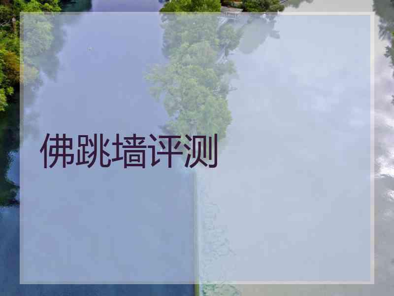 佛跳墙评测