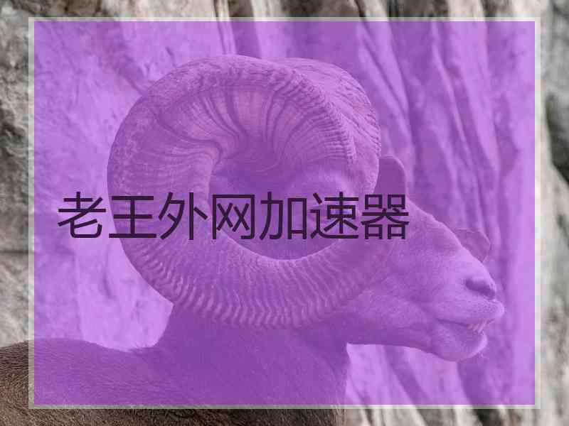 老王外网加速器