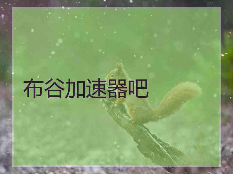 布谷加速器吧