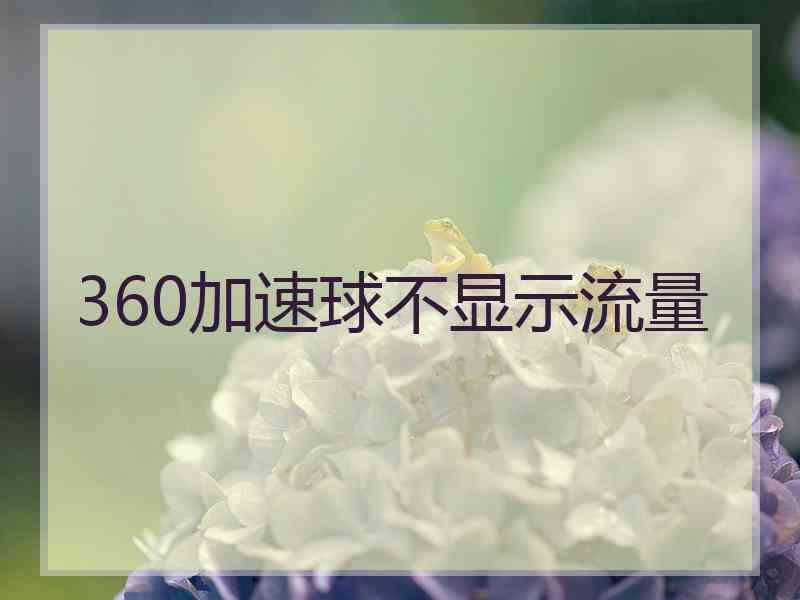360加速球不显示流量