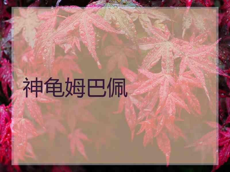 神龟姆巴佩