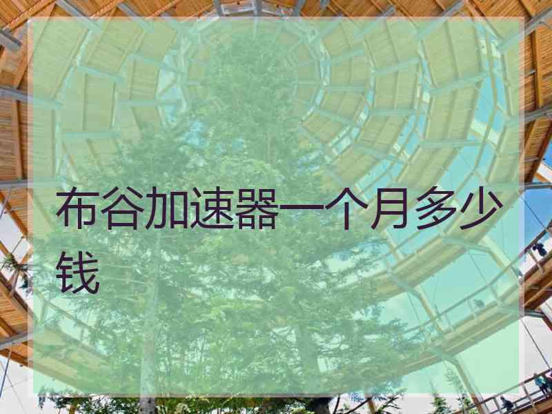 布谷加速器一个月多少钱
