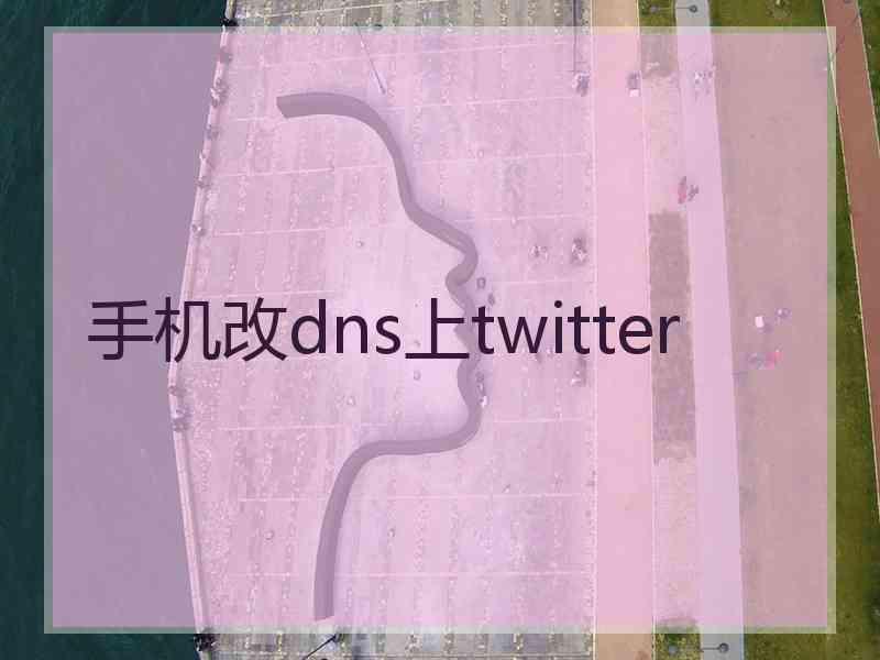 手机改dns上twitter