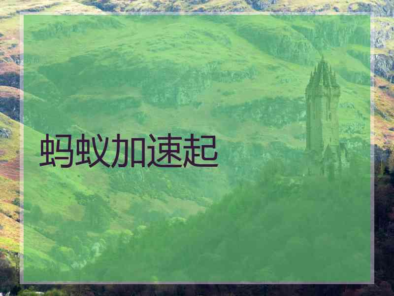 蚂蚁加速起