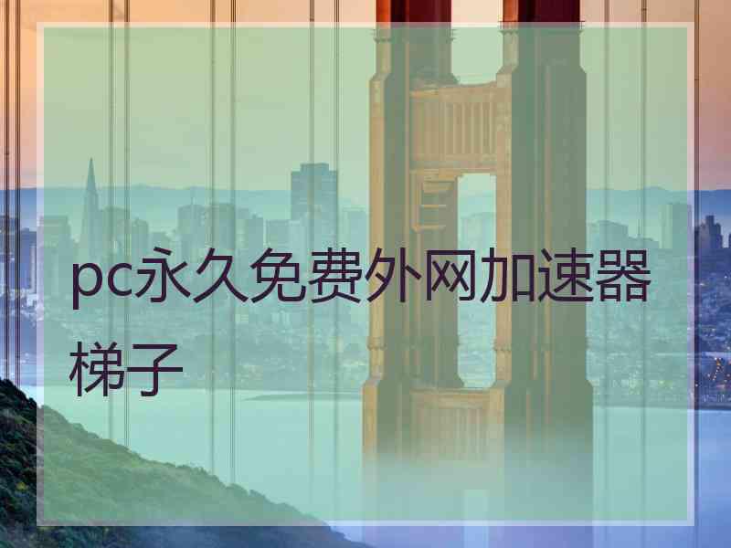 pc永久免费外网加速器梯子
