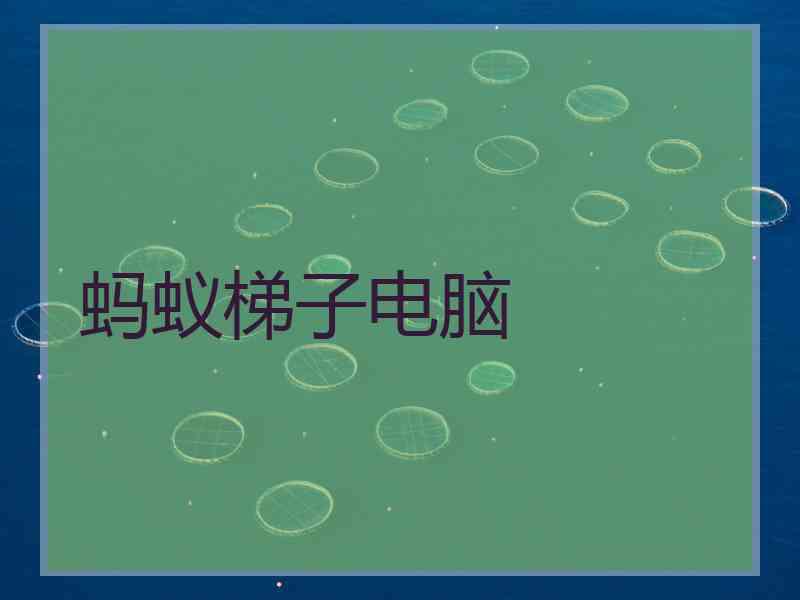 蚂蚁梯子电脑
