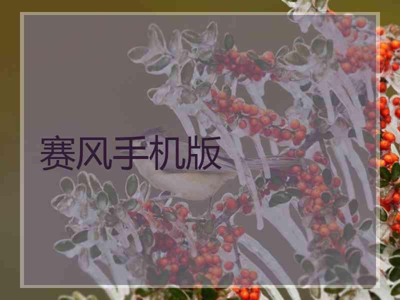 赛风手机版