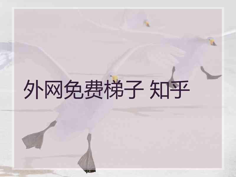 外网免费梯子 知乎