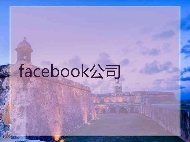 facebook公司