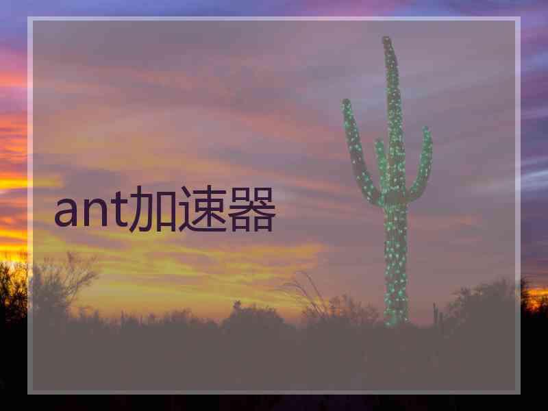 ant加速器