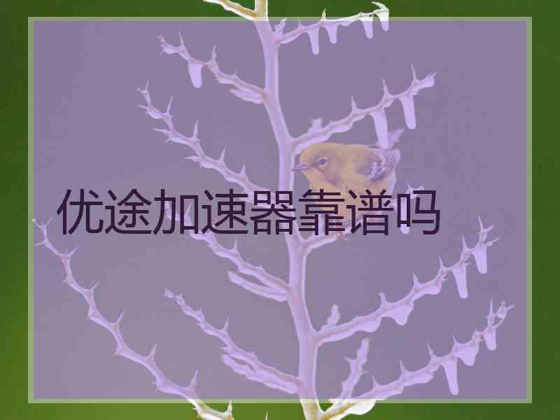 优途加速器靠谱吗